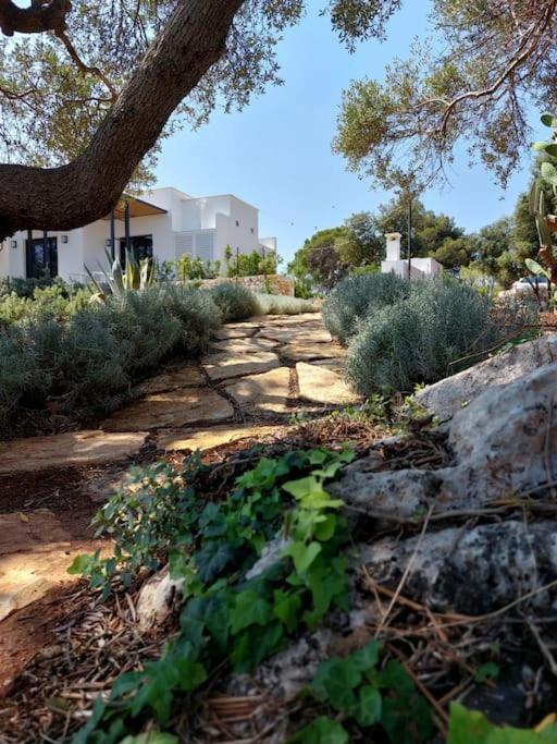 Trullo dei Mori, sea view villa with swimming pool - Three-Bedroom Villa - 22