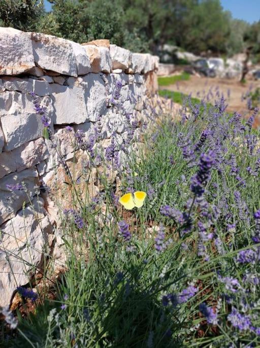Trullo dei Mori, sea view villa with swimming pool - Three-Bedroom Villa - 52