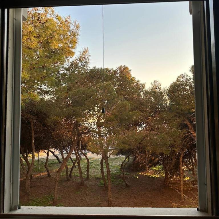 A casa di Stefania - Appartamento con 2 Camere da Letto - 2