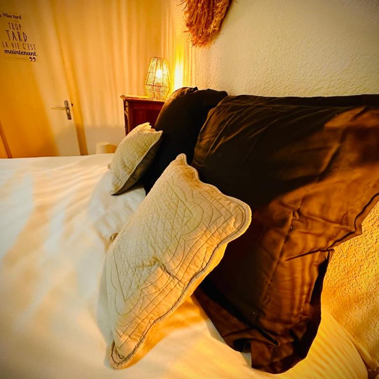 Résidence Le SUNSET Marseillan-plage, entre mer, canal du midi et lagune de Thau, étape vélo, famille, couple, VRP, toutou admis, jardin, parking privé gratuit, vélos, Clim, WIFI fibre gratuite, commodités, plage et piste cyclable à proximité - Apartamento de 2 dormitorios - 25