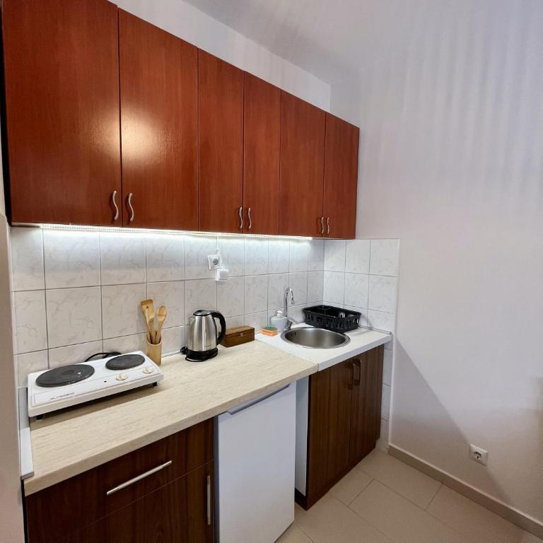 Villa Merci Budva - Deluks Trokrevetni Studio sa Balkonom - 20