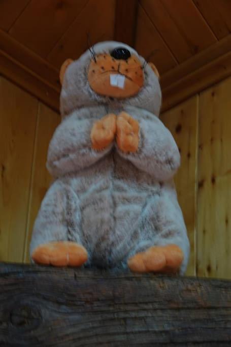 Les 3 marmottes duplex proche de la station Les Karellis - Appartement 1 Chambre - 12