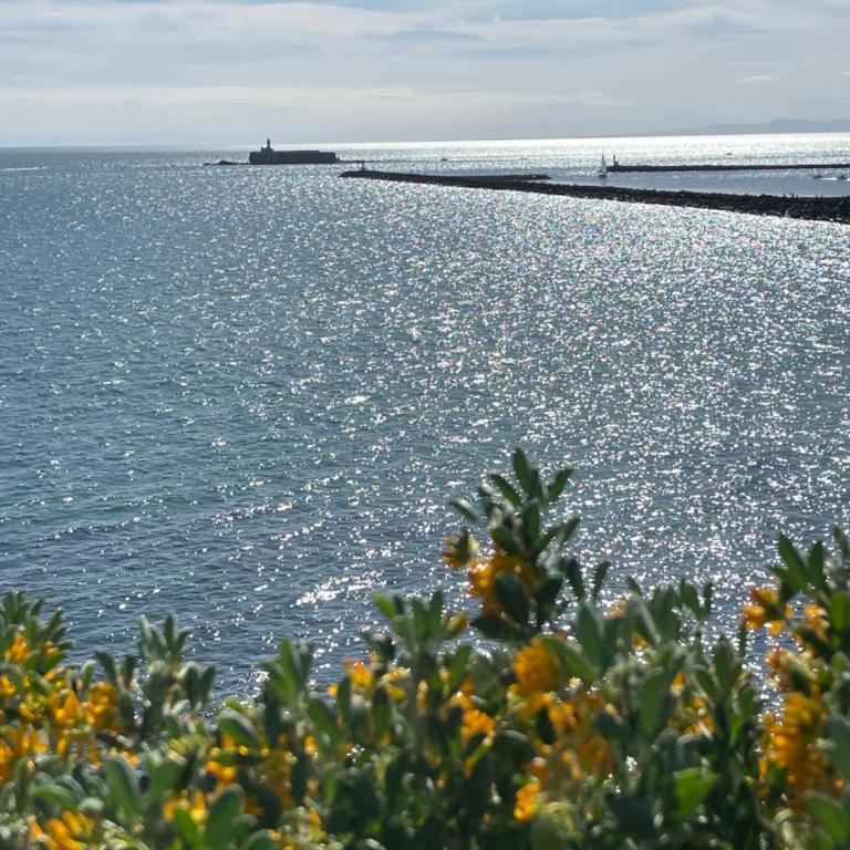 Cap d’Agde Centre port avec parking privé et belle vue port et mer - Apartment mit 1 Schlafzimmer - 22