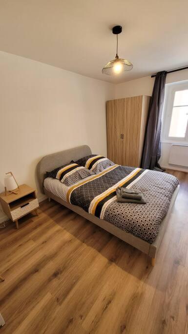 Bel Appart' 3 chambres 3 Sdb au centre-ville St Etienne - Appartement 3 Chambres - 12