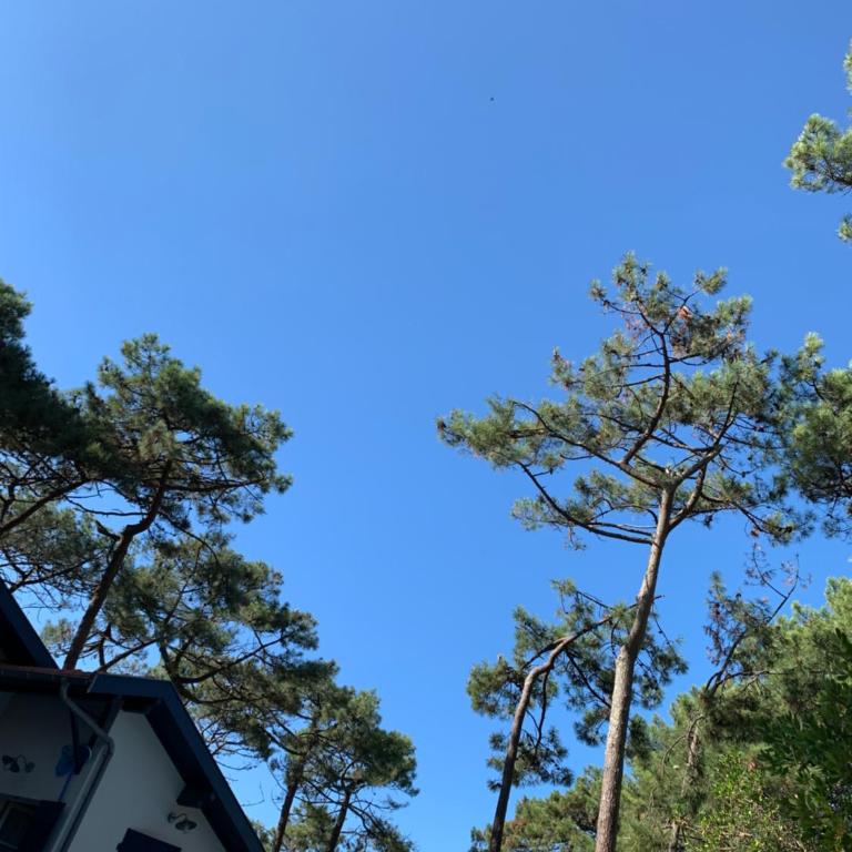 Villa Mamychou - Villa - 39
