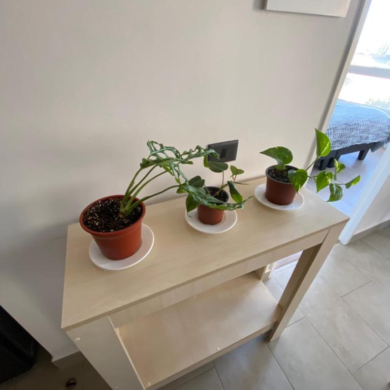 Departamento Central Valdivia - Apartamento de 1 dormitorio - 15