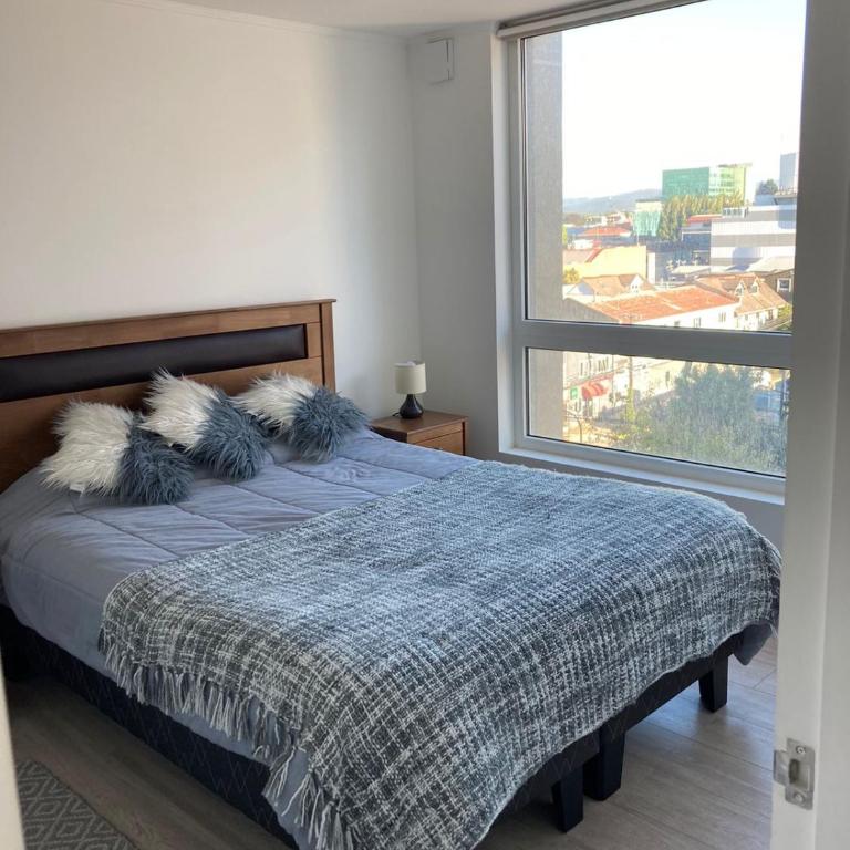 Departamento Central Valdivia - Apartamento de 1 dormitorio - 13