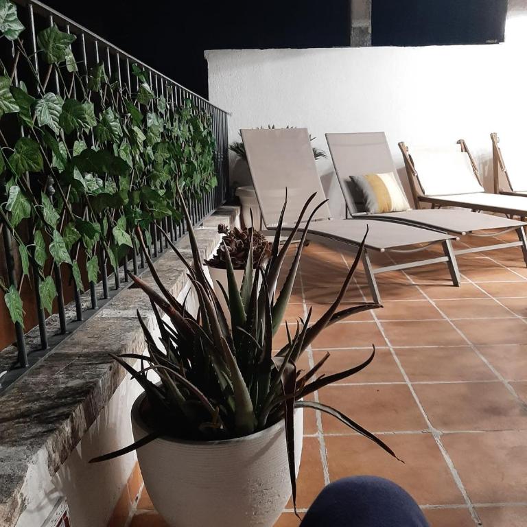 La Giara blu - One-Bedroom Apartment - 10