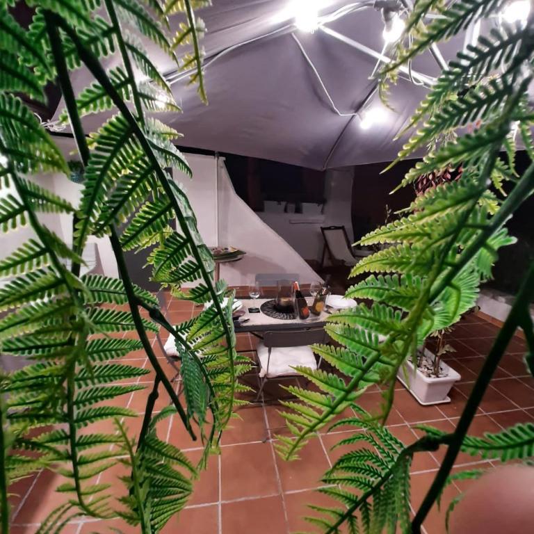 La Giara blu - One-Bedroom Apartment - 17