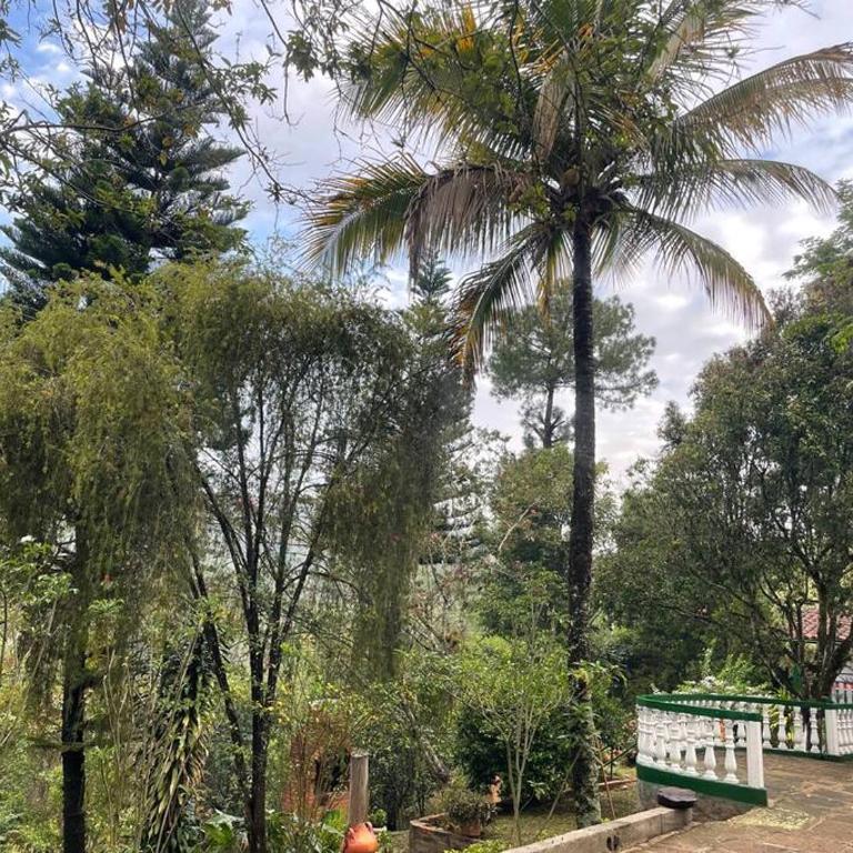 La jjodita- Cabaña campestre - Casa de 4 dormitorios - 24