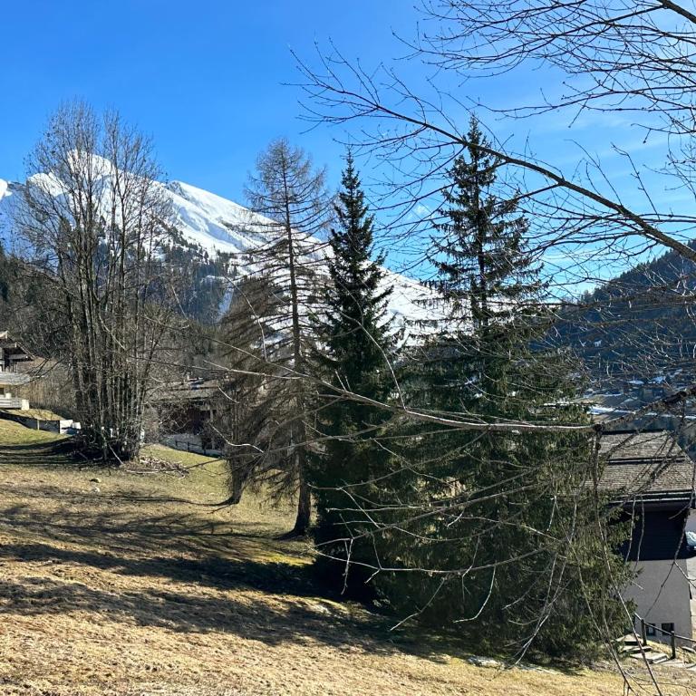 Les bouquetins - Two-Bedroom Apartment - 50