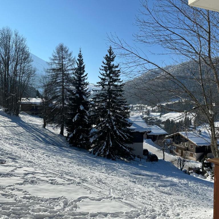 Les bouquetins - Two-Bedroom Apartment - 47