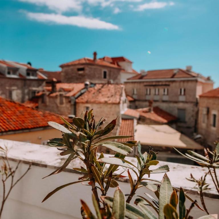 Villa Casa di Pietra - Budva Old town - Apartman sa Balkonom - 1