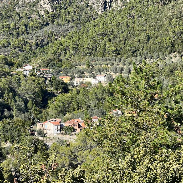 Mon Rêve - Maison 2 Chambres - 37