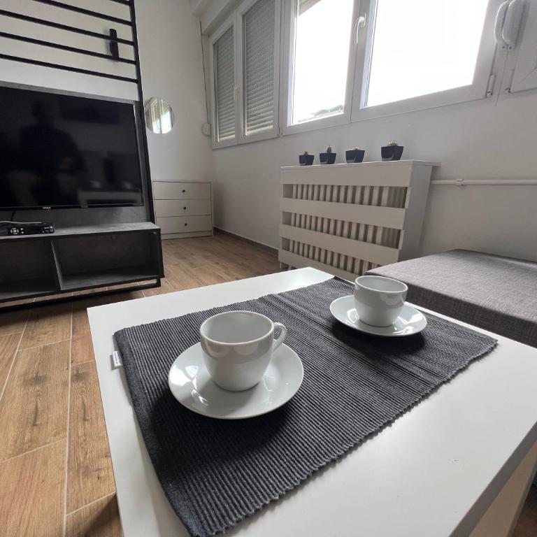 Apartment 55 Belgrade - Apartman sa 1 Spavaćom Sobom - 17