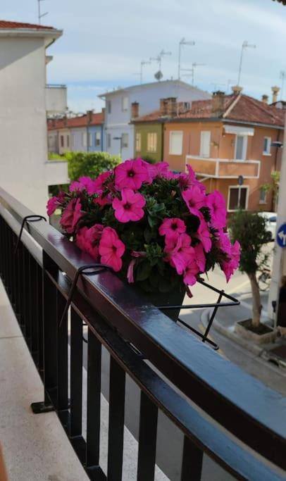 Casa Angelina - Casa Vacanze - 6