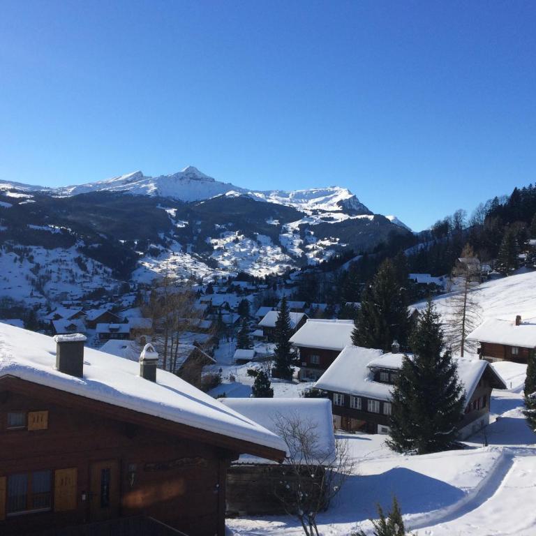 Grindelwald-Sunneblick - Appartamento con 2 Camere da Letto - 8