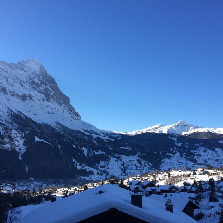 Grindelwald-Sunneblick - Appartamento con 2 Camere da Letto - 10