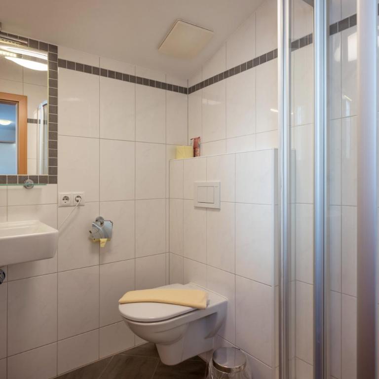Blaiken Appartements in Scheffau am Wilden Kaiser - Estudio Estándar - 3