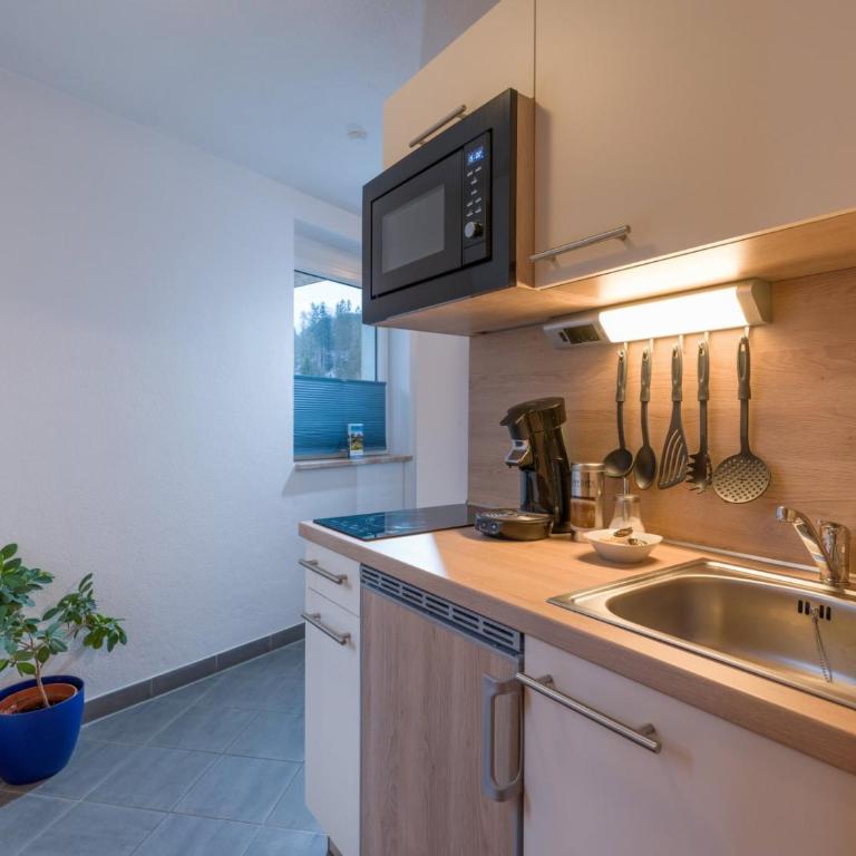 Blaiken Appartements in Scheffau am Wilden Kaiser - Estudio con balcón - 5