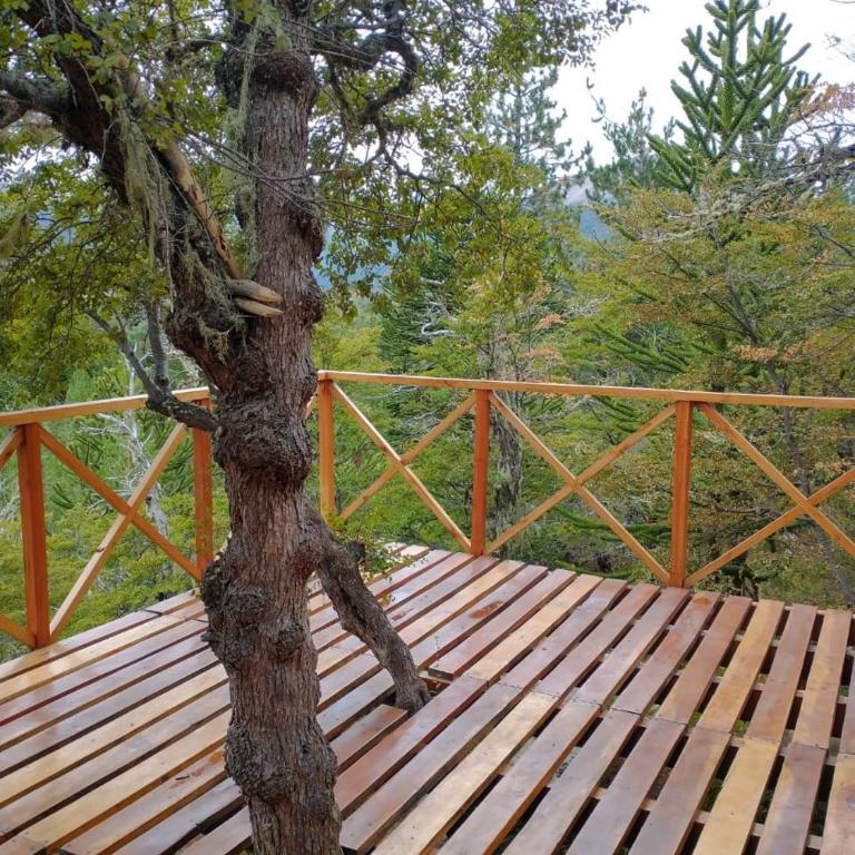 Parajes del Lejano Sur Cabaña El Calden - Apartamento de 2 dormitorios - 5