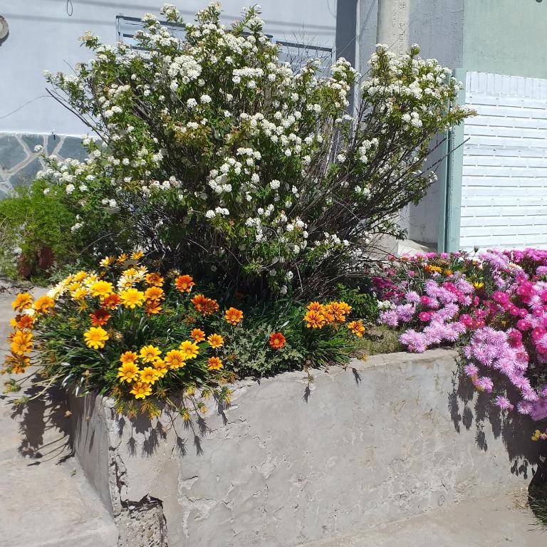 LOURDES - Casa con 1 dormitorio - 4