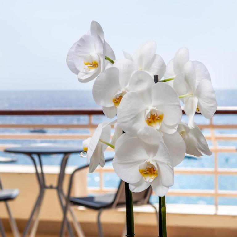 LETS HOLIDAYS APARTMENT SEA VIEWS on the BEACH - Apartamento - 15