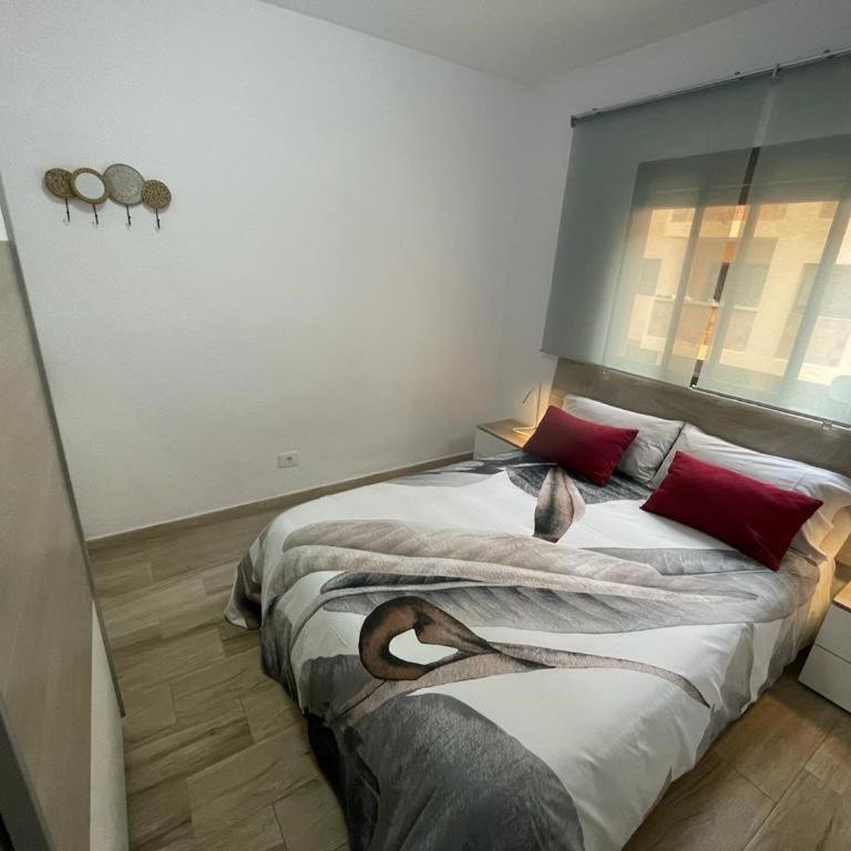Buenavista Home - Apartamento de 3 dormitorios - 7