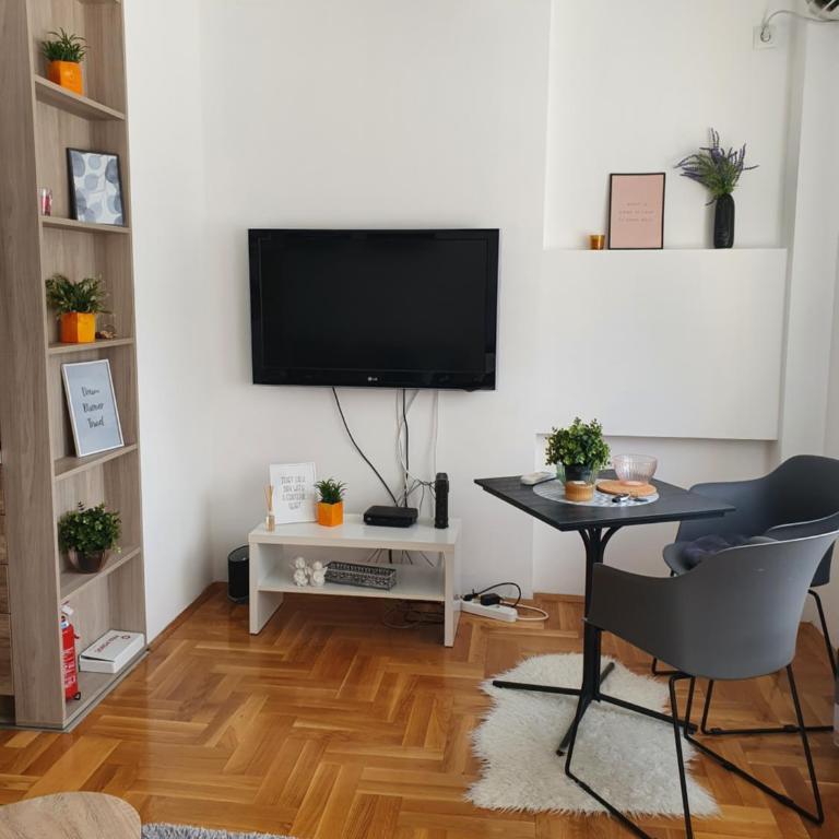 DRAGON Apartment - Apartman sa 1 Spavaćom Sobom - 18