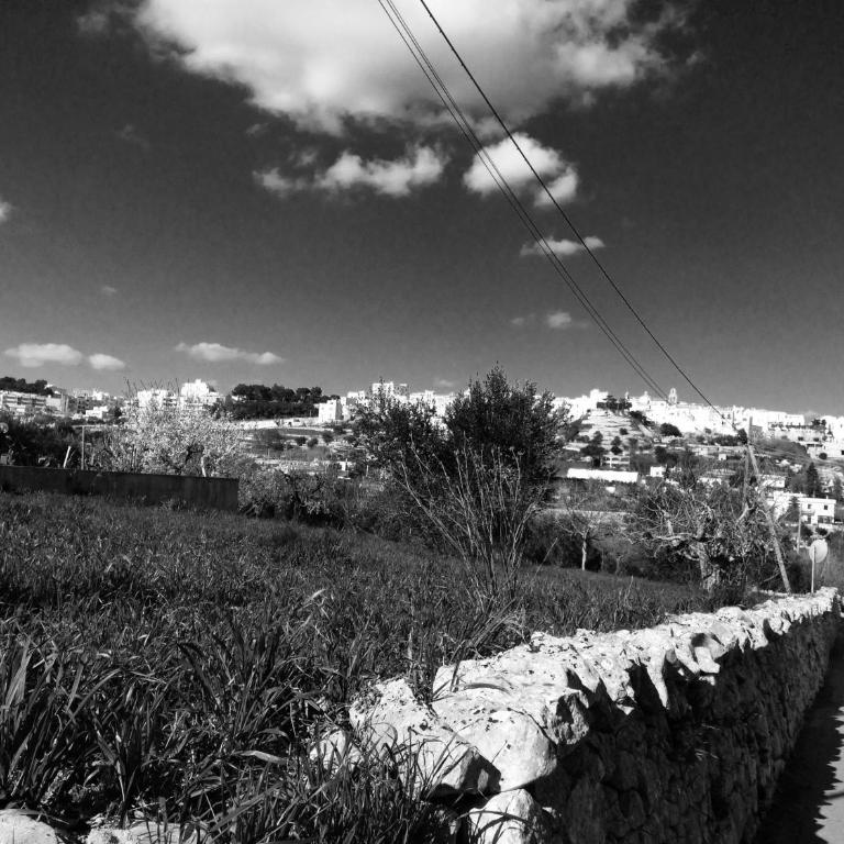 Il Piccolo Trullo - Appartamento - 8