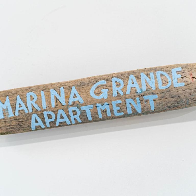 Marina Grande Apartment - Appartamento con Vista Mare - 4