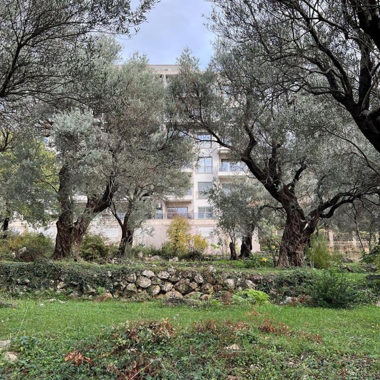 Paradise Apartments Becici - Apartment with Sea View - 2