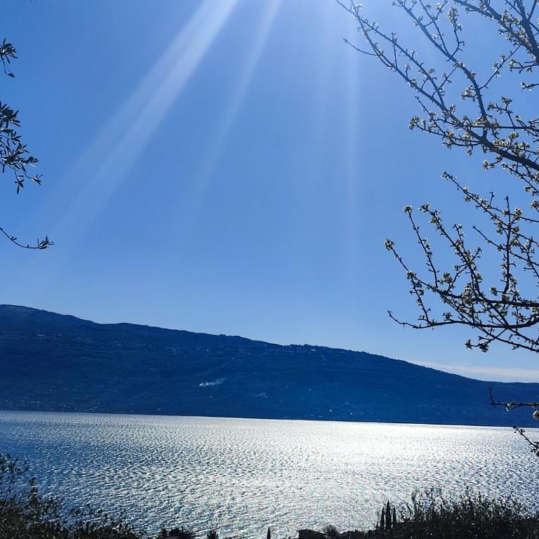 Agriturismo L'Uliveto - Appartamento con Vista Lago - 4
