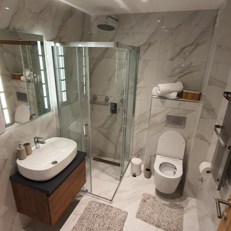 Lazarevic Lux - Vila Pekovic - One-Bedroom Apartment - 49