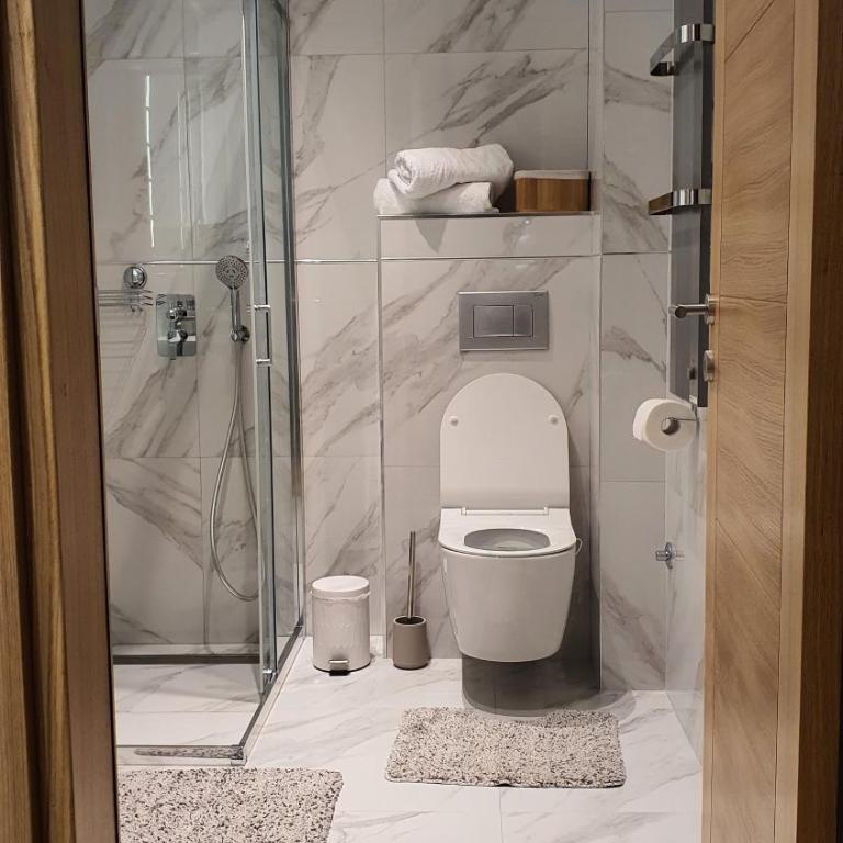 Lazarevic Lux - Vila Pekovic - One-Bedroom Apartment - 50