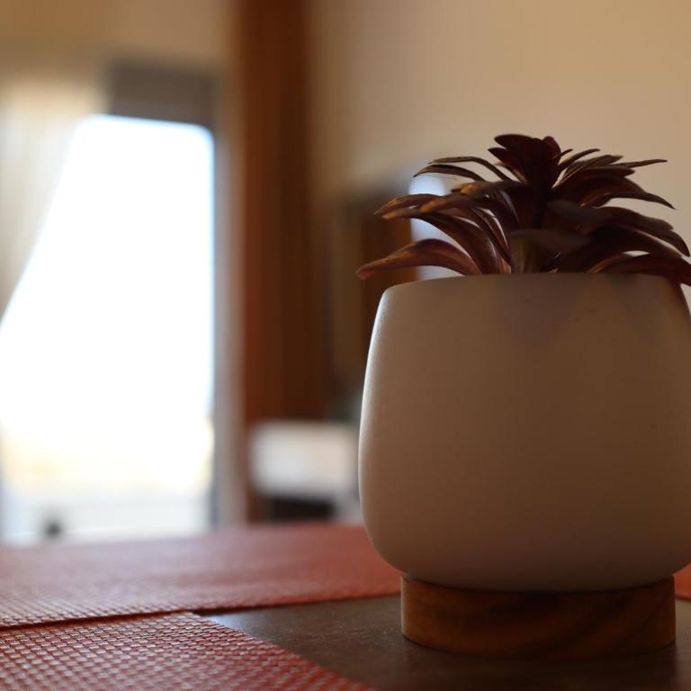 Dineta Apartment - Apartman sa 1 Spavaćom Sobom - 29