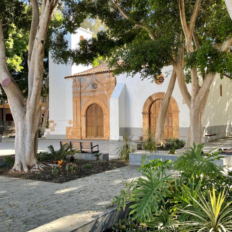 Casa Palmera - Apartamento de 1 dormitorio - 18