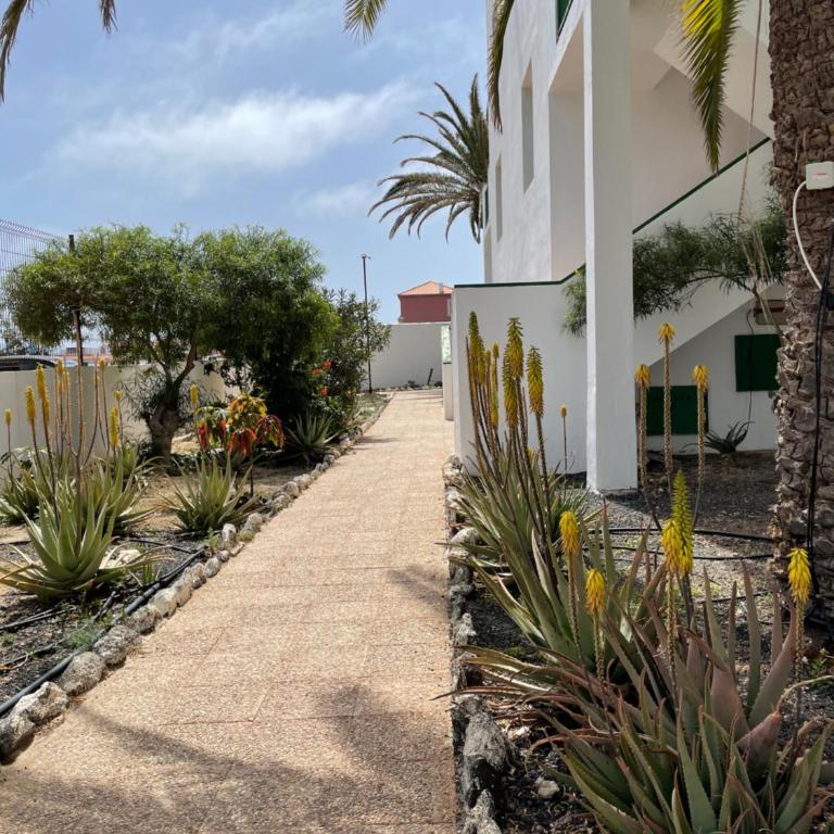 Casa Palmera - Apartamento de 1 dormitorio - 12