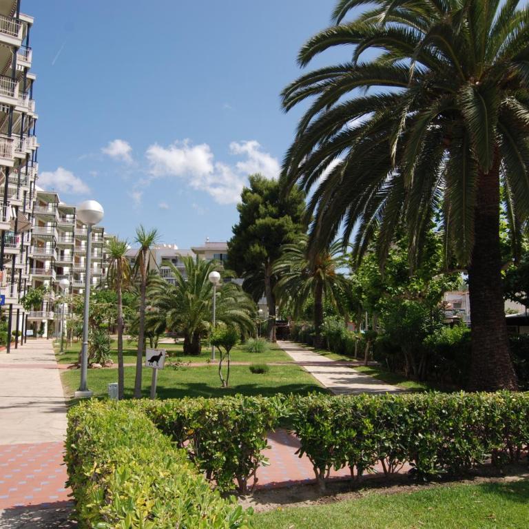 Zeus Auriga - Apartamento - 2