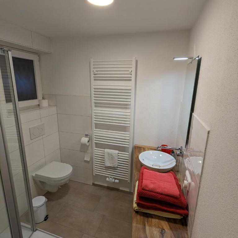 Haus Edelweiss Jungholz - Appartement 2 Chambres - 15