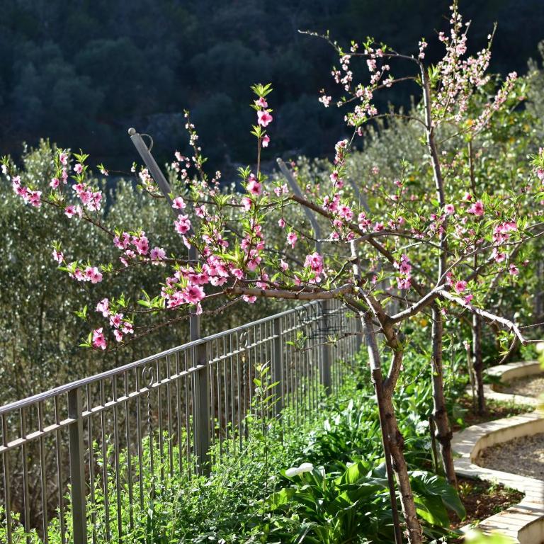 Casa Ninin - Two-Bedroom Apartment with Terrace, Garden and Sea View - 47