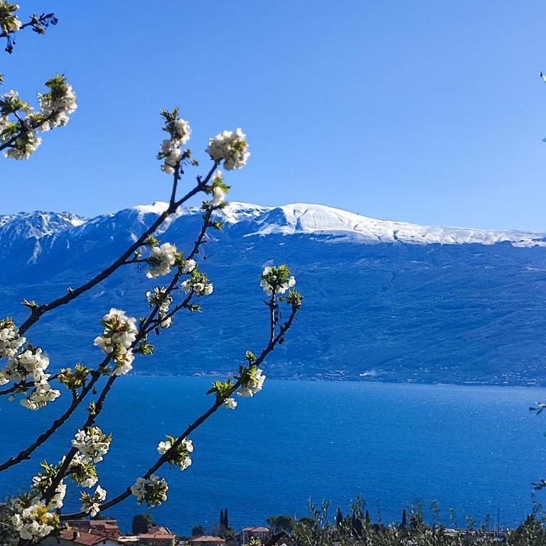 Agriturismo L'Uliveto - Appartamento con 2 Camere da Letto - 9
