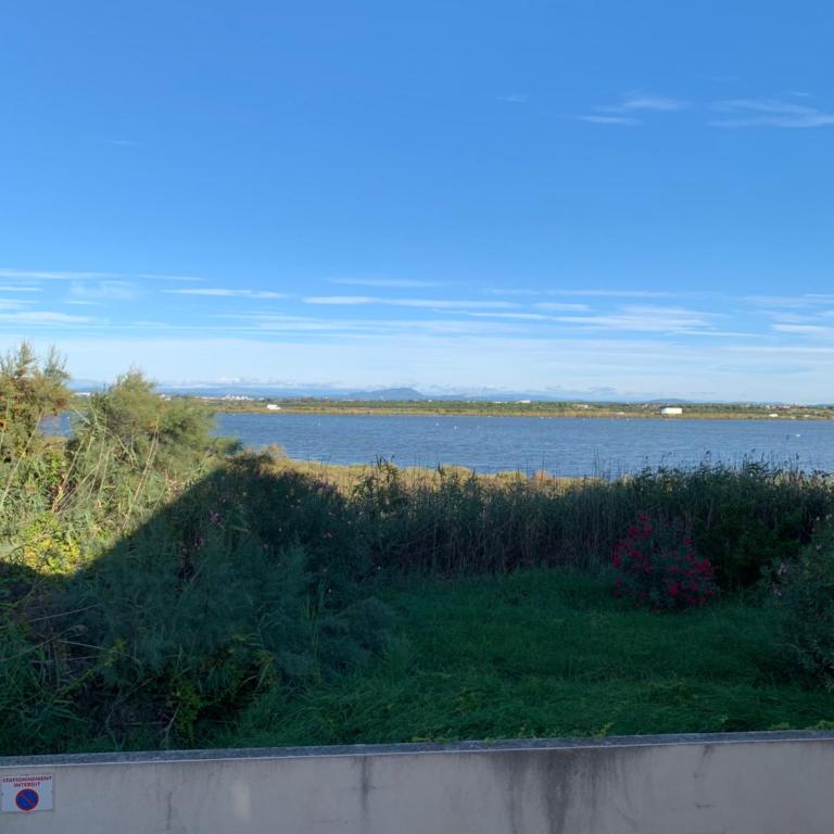 Le Marco Polo Palavas avenue St Maurice - Appartement - Rez-de-Chaussée - 12