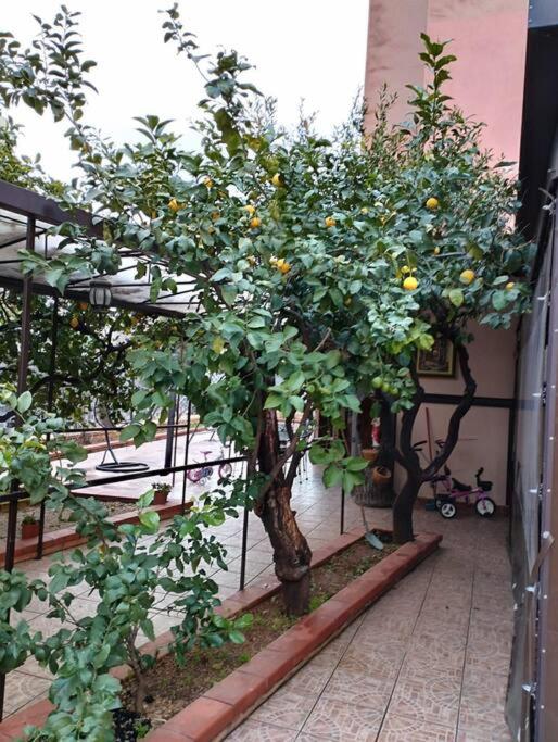 La casetta dei limoni - Two-Bedroom Apartment - 13