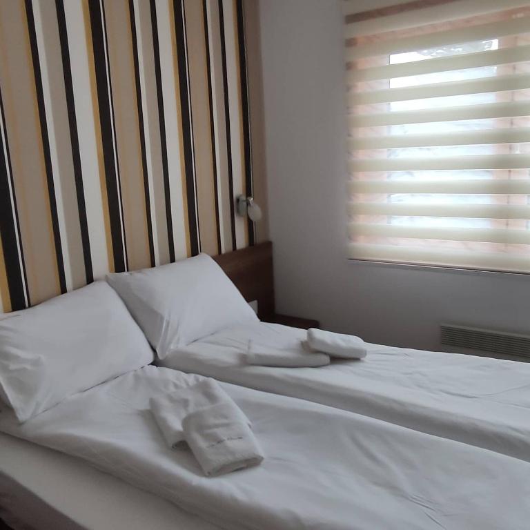 Vila Pino Silvestre - Apartman - 3