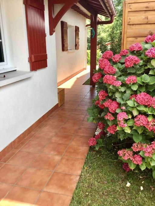 1km plage, agréable maison 6 pers classée 3* - Maison 3 Chambres - 24