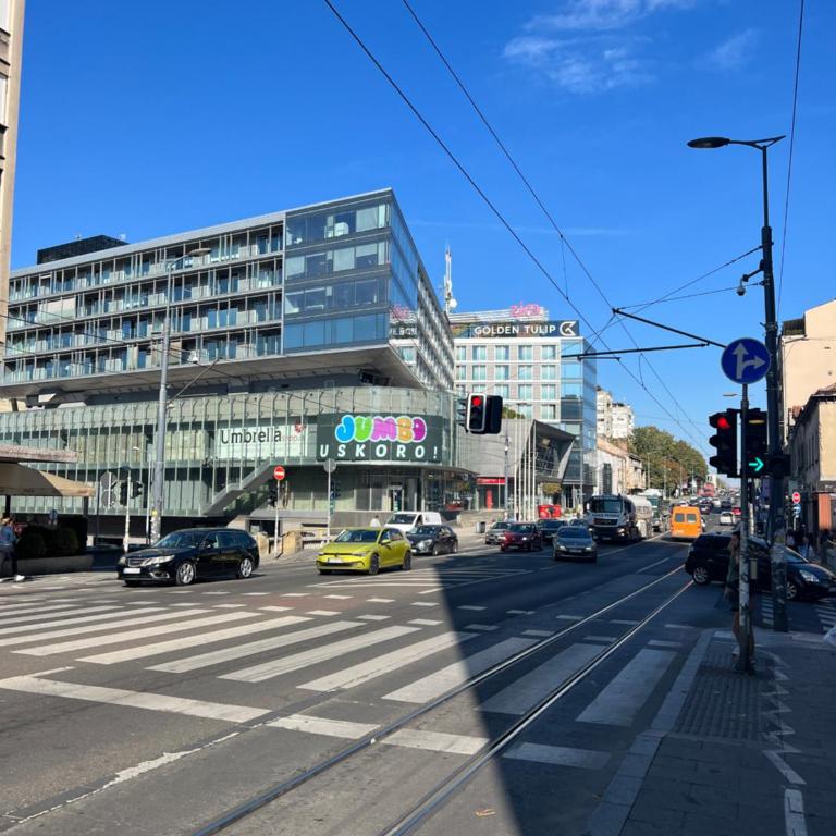 Belgrade Center Apartment Lux IV - Apartman sa 1 Spavaćom Sobom - 17