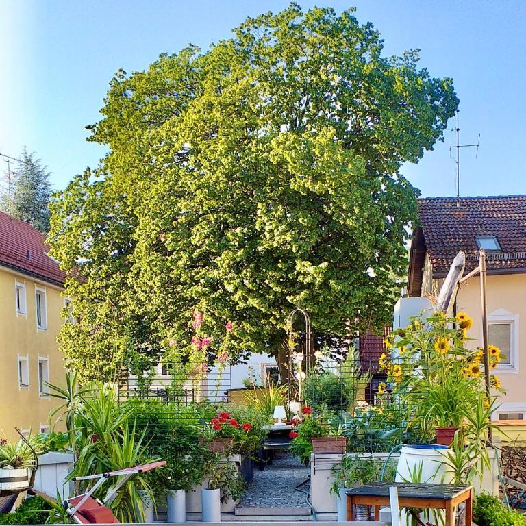 Zentrale Idylle mit Gemeinschaftsbad - Habitación Doble con balcón - 6