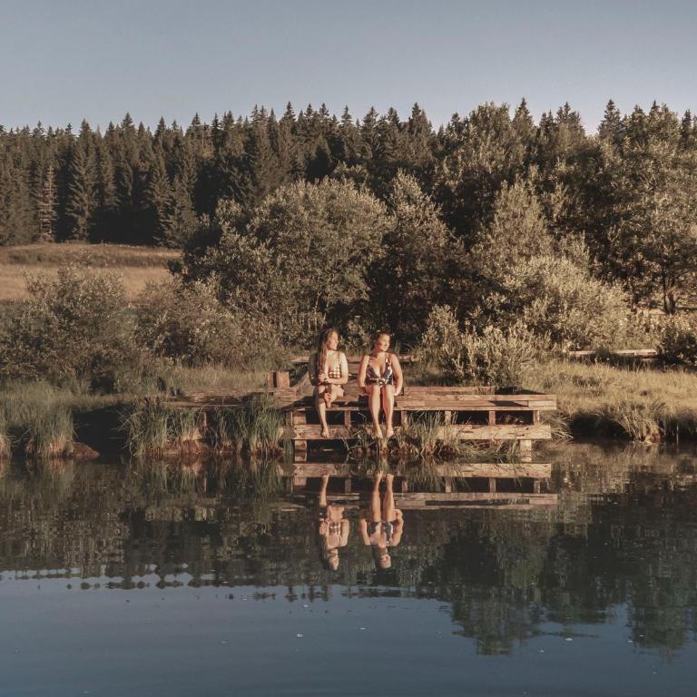 Le Moulin des Scies Neuves - Superior Chalet - 31