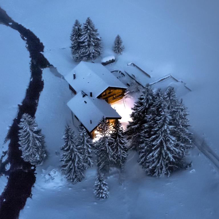 Le Moulin des Scies Neuves - Superior Chalet - 37